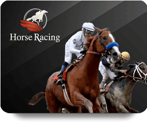 แข่งม้า