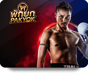 ไทเกอร์มวย